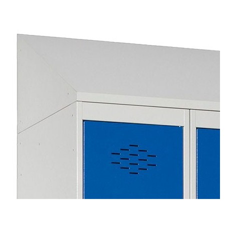 Sobretecho inclinado metálico.