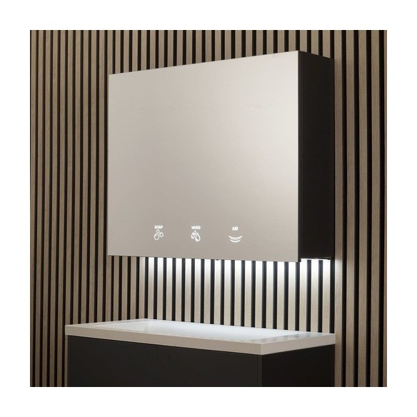 ARMARIO TRES MODULOS DETRAS DEL ESPEJO